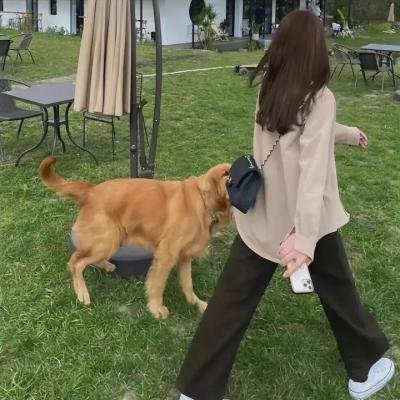 我的妄想症男友